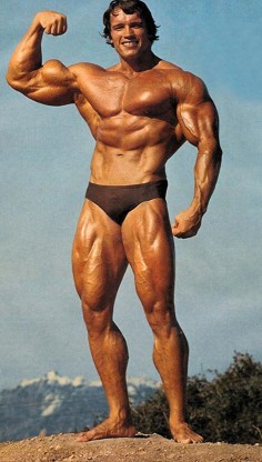 20 Arnold Schwarzenegger HD Wallpapers und Hintergründe